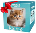 Smart Electric Plush Cat Toy Realistic Walking Purring Stuffed Animal Cute Interactive Pet Doll Kids Birthday for Boys Girls
